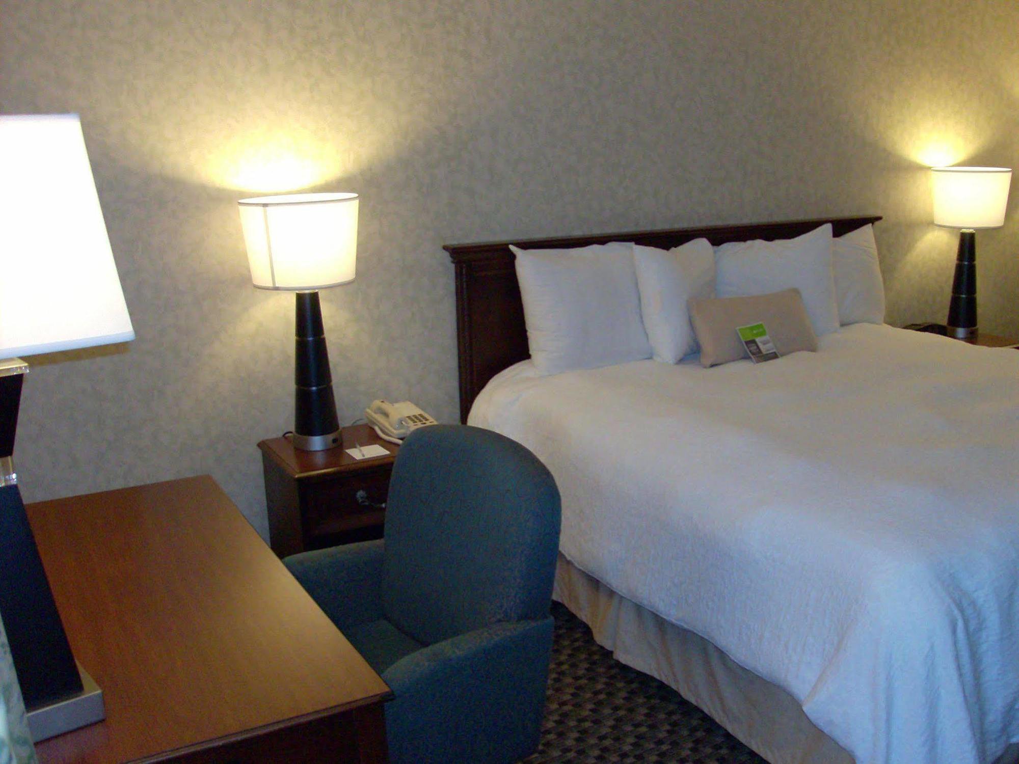 Hampton Inn Dover Rum bild