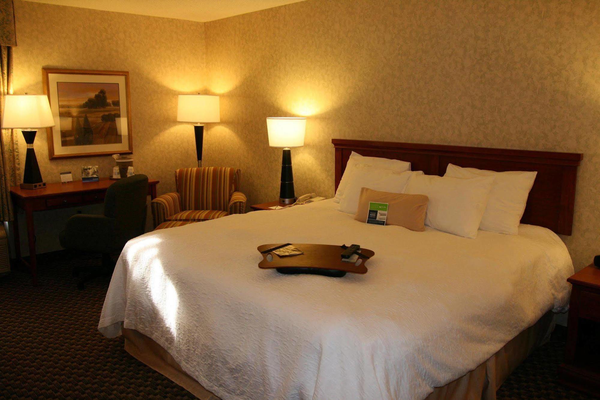 Hampton Inn Dover Rum bild